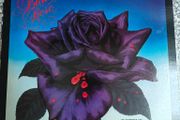 Thin Lizzy, Black Rose UK LP, original press, spaceship labels