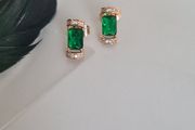 Brand new earrings