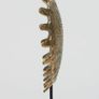 Turtle Shell - Polished Bronze, Signed Image 7