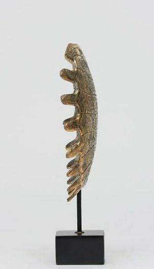 Turtle Shell - Polished Bronze, Signed