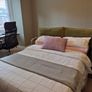 High-End Sofa Bed from Sofa.com "Bluebell" 2.5-Seater Sofa Bed in Olive Velvet Image 3