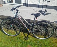 Kellys Clea 10 Ladies Bike