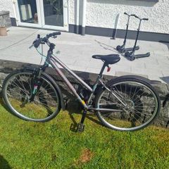Kellys Clea 10