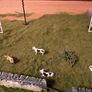 1:72 GAA Goals set of 2 many available Image 4
