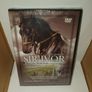 horse racing dvd bundle Image 7
