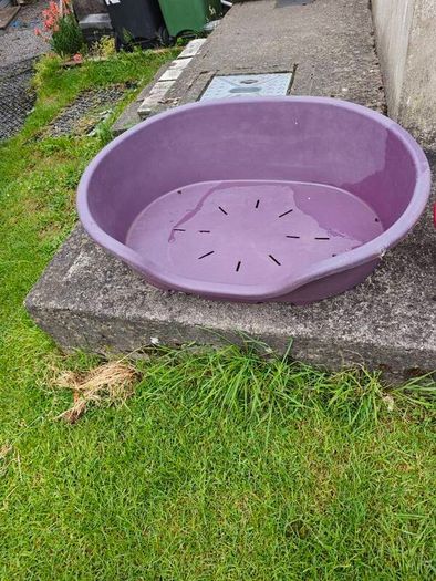 Pet bed