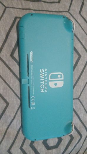 nintendo ds lite