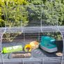 Gerbil Cage Image 2