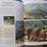 Tropical Fish and Aquarium Books Image 4