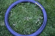 Maxxis minion dhf