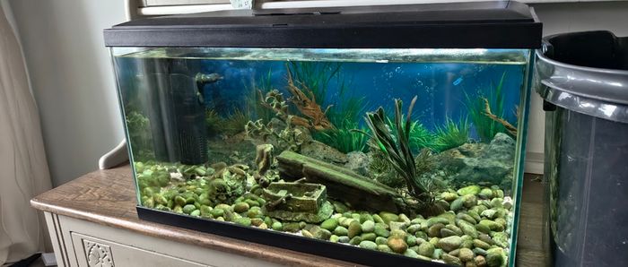 Leddy Black Tropical Aquarium 54L 60cm
