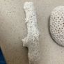 Coral Natural lot of three Image 3
