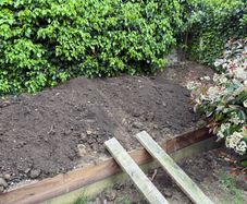 Soil