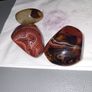 Agate palm stones Namibia Image 5
