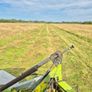 Horse Hay Image 2