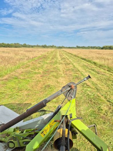 2025 Hay for sale. Horse Hay.