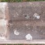 Roof Tiles Image 4