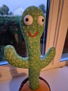 Singing and dancing cactus
