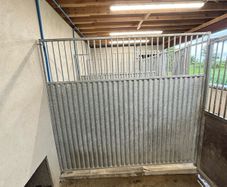 dog run
