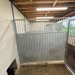 dog run