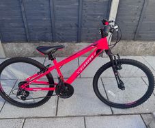 team bike
