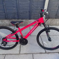 team bike