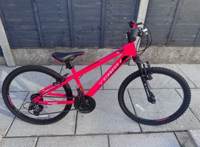 team bike