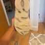 Yeezy slides Image 2
