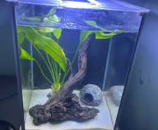 Fluval spec
