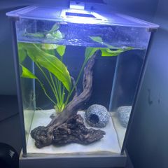 Fluval spec
