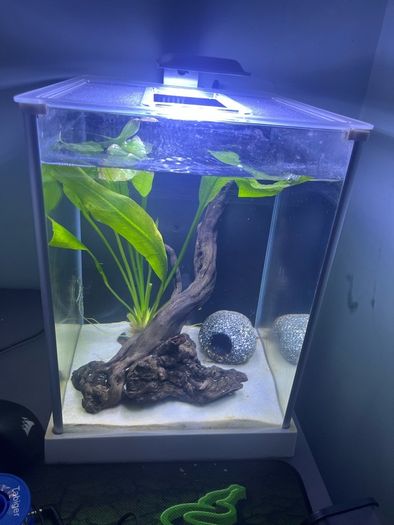 Fluval spec