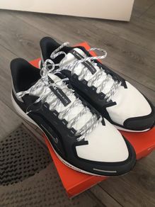Nike Pegasus 41 size 12