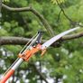 Manual Pole Saw, 2.2-8.2 m Extendable Tree Pruner, Sharp Steel Blade and Scissors High Branches Trimming, Branch Trimmer with Lightweight 2.4 m Fiberglass Handles, for Pruning Palms and Shrubs Image 7