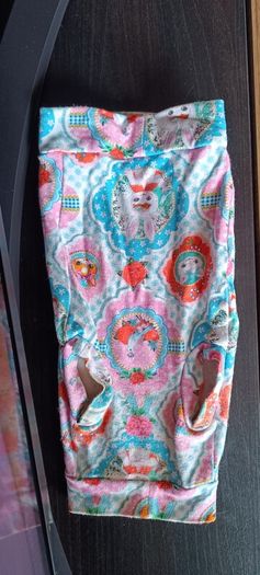 sphynx cat clothes