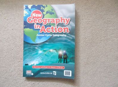New Geography in Action