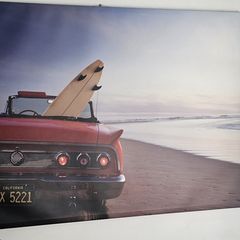 Picture/ Canvas