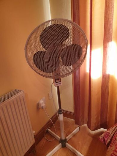 Electric Fan