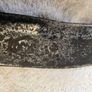 billhook slasher cutter hedge layer Image 8