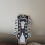 12 string Guitar with built-in pickup Image 2