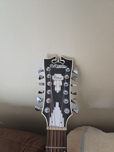 12 string Guitar with built-in pickup