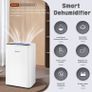 Dehumidifier Image 5