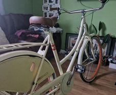 bik