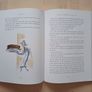 Matilda by Roald Dahl (Fantasy Adventure Illustrated Colour Edition 2016) Image 10