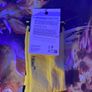 Pokemon socks Pikachu Shiluette New Image 2