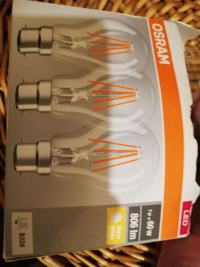 bulbs