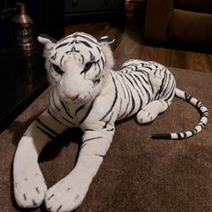 large white tiger