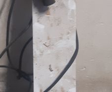 Trailer lights