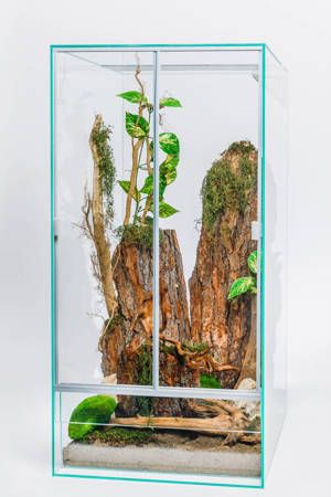 Terrariums Different Sizes