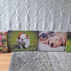 4 Canvases FREE