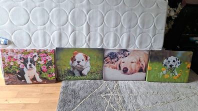 4 Canvases FREE